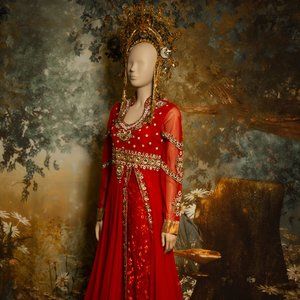 Hindi Indian south Asian wedding  fantasy red gold  dress encrusted with jewels